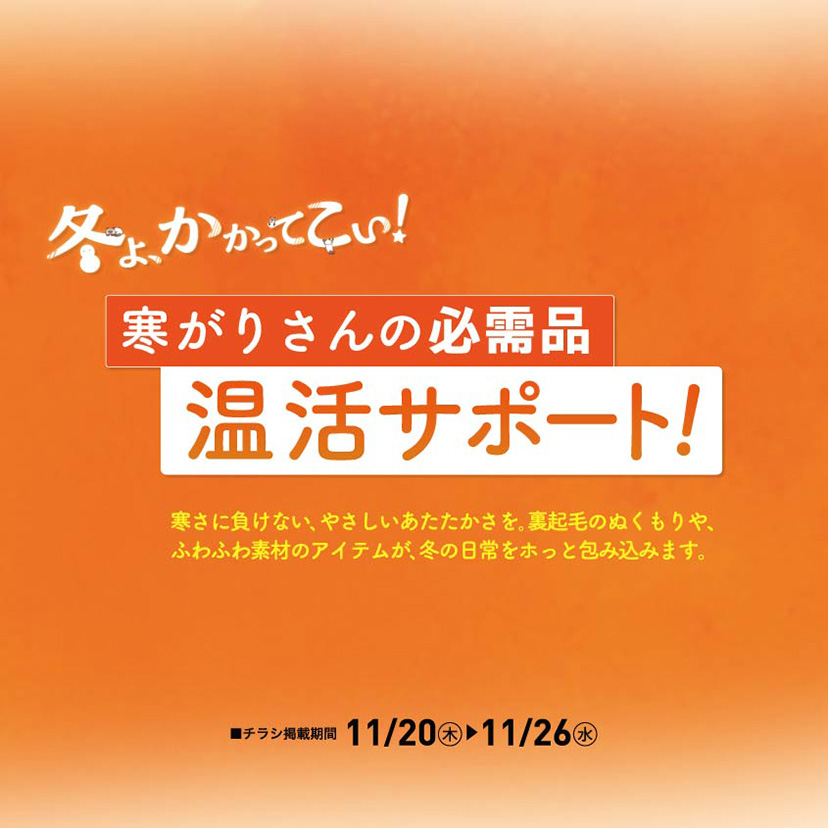 温活動サポート11/20~26