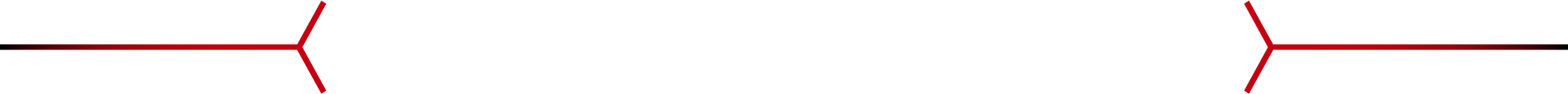 購入キャンペーン