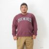 Dickies 裏毛プリントクルートレーナー キングサイズ メンズ