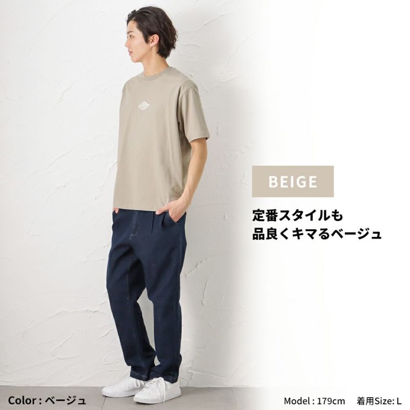 Dickies グラフィック半袖Tシャツ メンズ