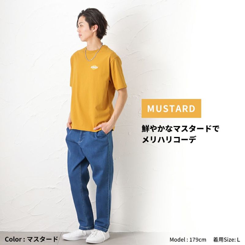 Dickies グラフィック半袖tシャツ メンズ