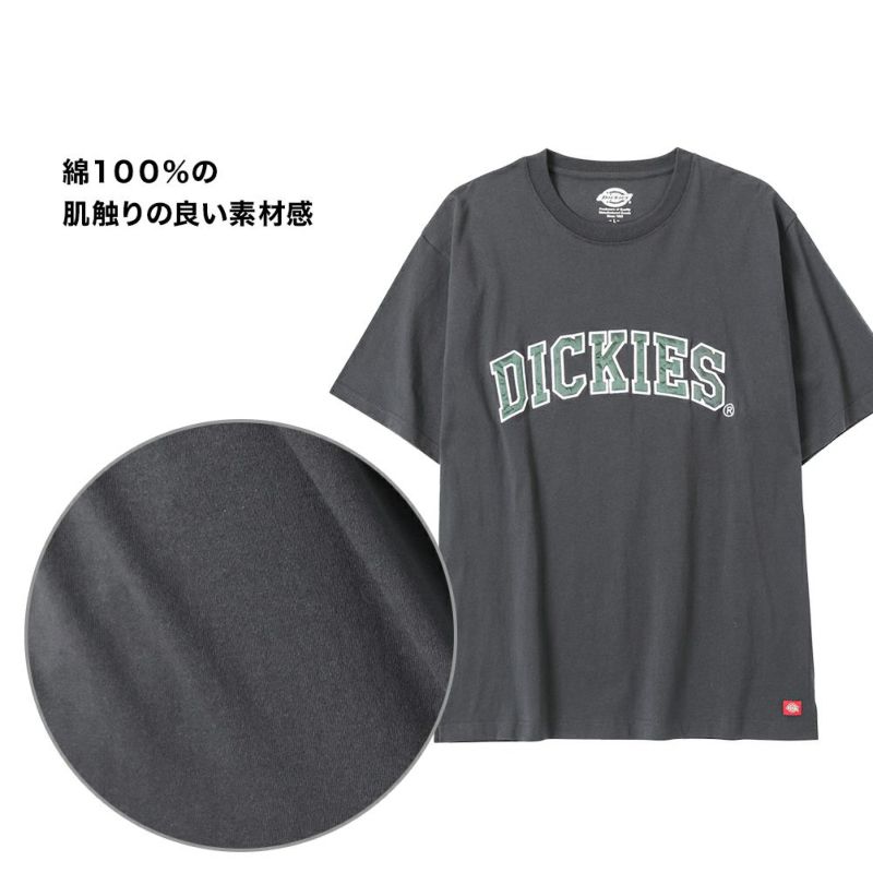 Dickies グラフィック半袖Tシャツ メンズ