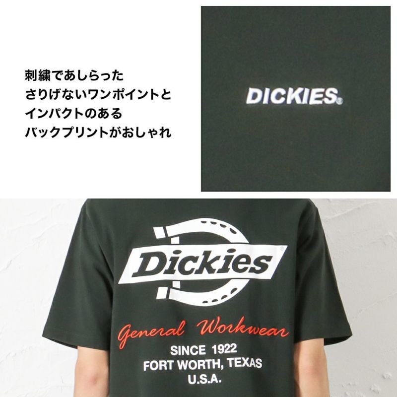 Dickies グラフィック半袖Tシャツ メンズ