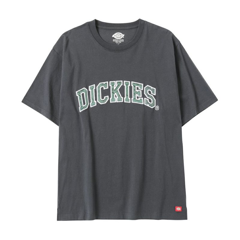 Dickies グラフィック半袖Tシャツ メンズ