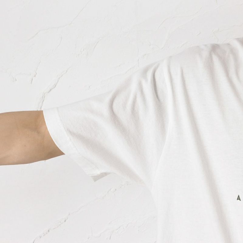 51999円 【51%OFF!】 エーグル Tシャツ ロゴプリント 半袖 メンズ キッズ 170 S レディース