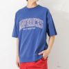 アップリケ刺繍Tシャツ メンズ ネコポス 対応商品