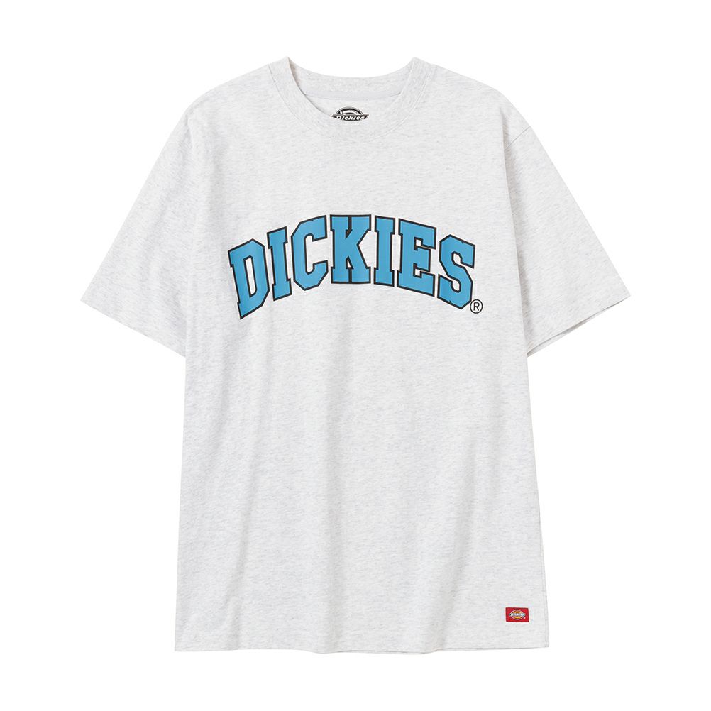 Dickies ロゴプリント半袖Tシャツ メンズ ネコポス 対応商品