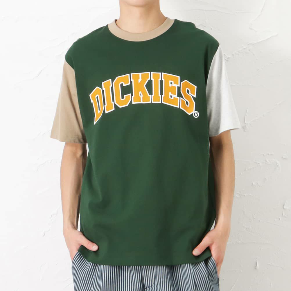 Dickies ロゴプリント半袖Tシャツ メンズ ネコポス 対応商品