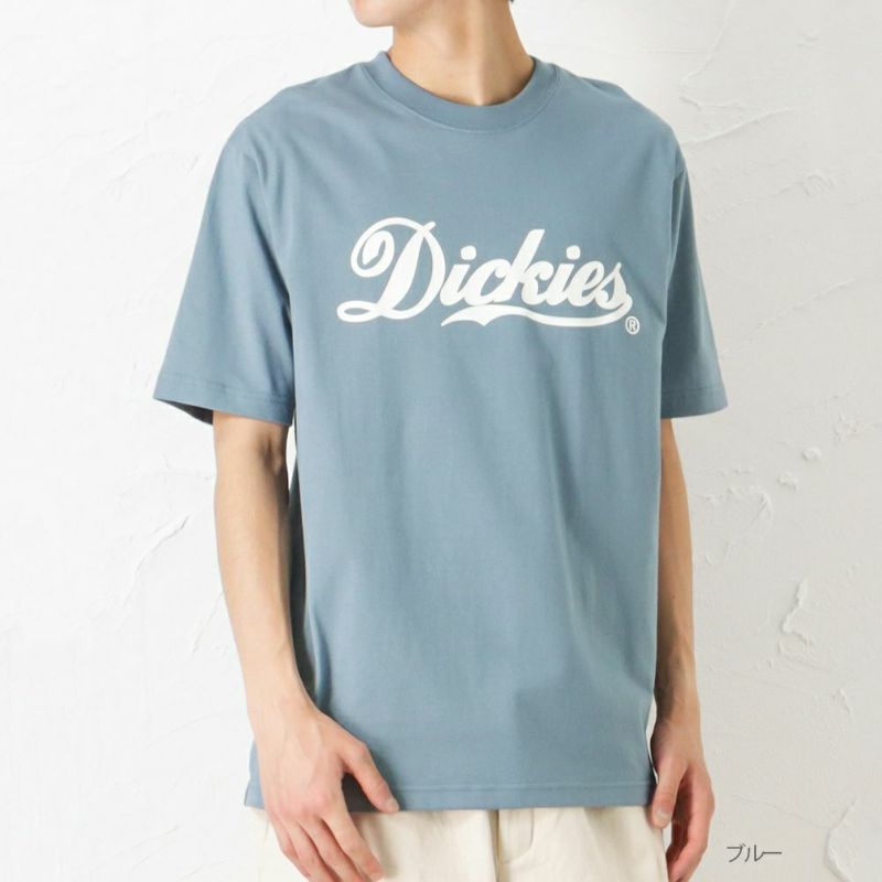 【オンラインストア限定】Dickies ロゴプリント半袖Tシャツ メンズ メール便 対応商品商品画像-14
