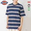 Dickies マルチボーダー半袖Tシャツ メンズ ネコポス 対応商品