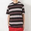 Dickies マルチボーダー半袖Tシャツ メンズ ネコポス 対応商品