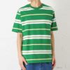 Dickies マルチボーダー半袖Tシャツ メンズ ネコポス 対応商品