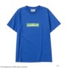 Minecraft マインクラフト 半袖Tシャツ キッズ ネコポス 対応商品