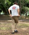 Dickies  ツイルレギュラーチノパンツ メンズ商品サムネイル-6