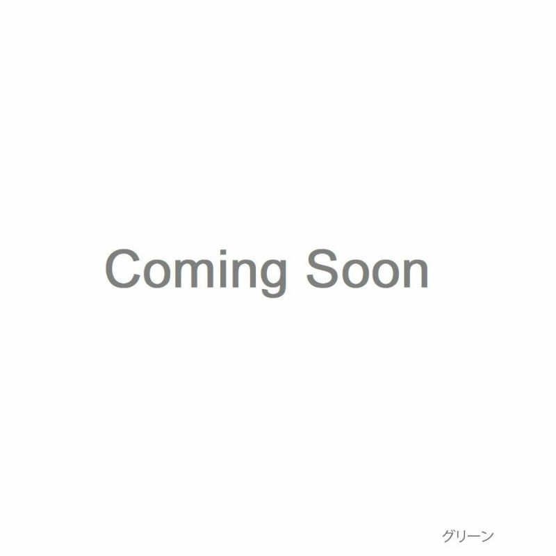VISION STREET WEAR  鹿の子ベスト×ロングスリーブTシャツアンサンブル メンズ商品画像-2