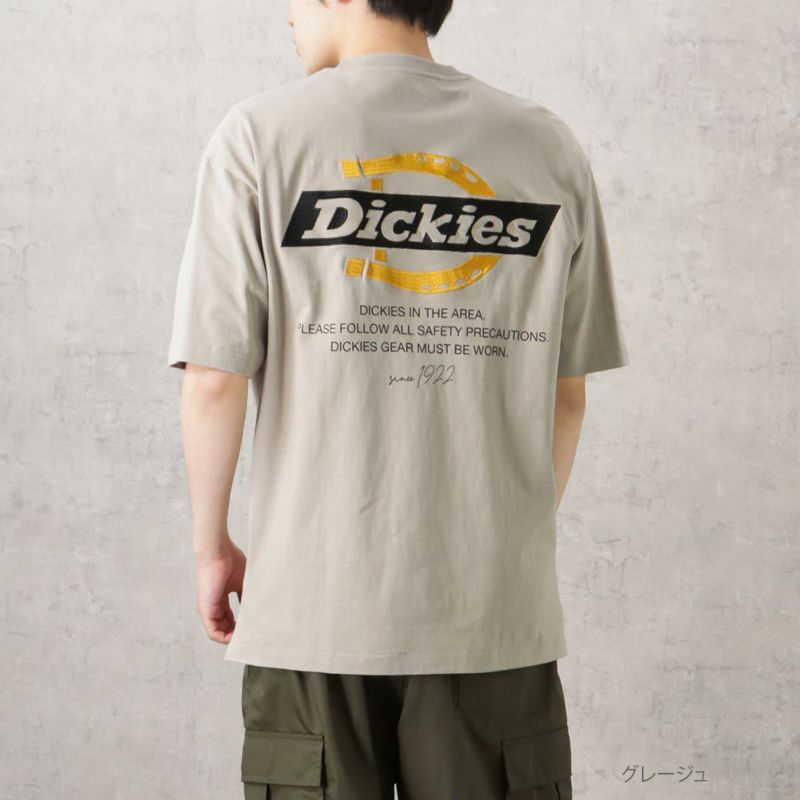 Dickies グラフィック半袖Tシャツ メンズ ネコポス 対応商品