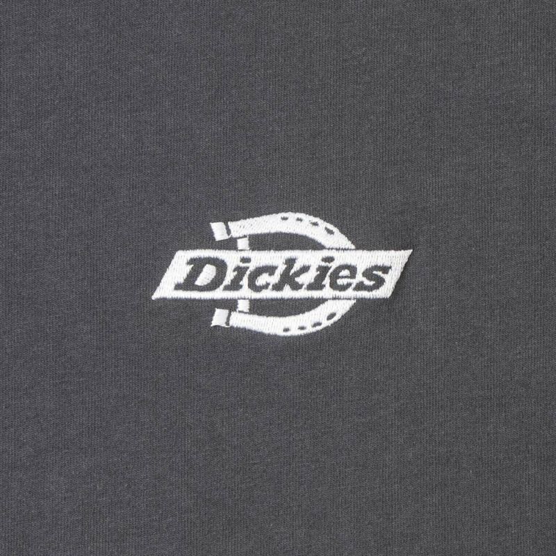 Dickies グラフィック半袖Tシャツ メンズ