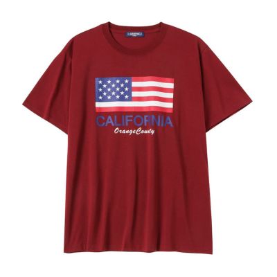 T-GRAPHICS  星条旗プリント半袖Tシャツ メンズ ネコポス 対応商品