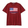 T-GRAPHICS 星条旗プリント半袖Tシャツ メンズ ネコポス 対応商品