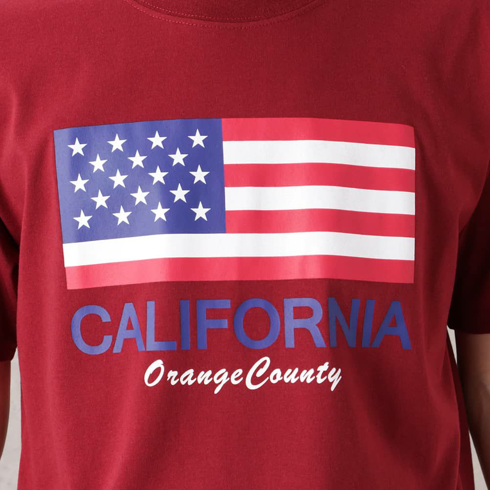 T-GRAPHICS 星条旗プリント半袖Tシャツ メンズ ネコポス 対応商品