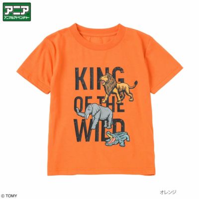 アニア アニマルアドベンチャー プリントショートスリーブTシャツ キッズ ネコポス 対応商品