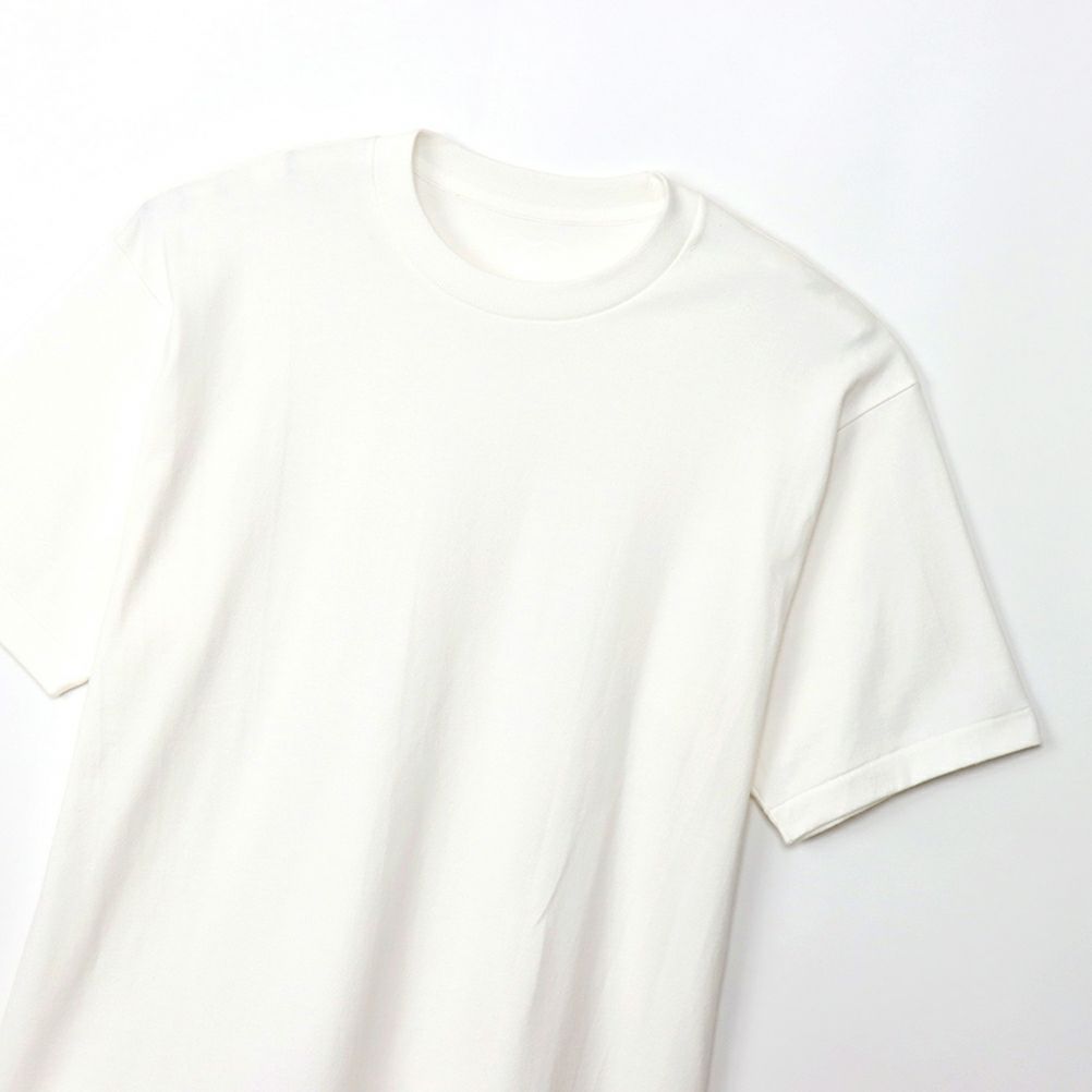 Hanes SHIRO クルーネックTシャツ メンズ メール便 対応商品商品サムネイル-2