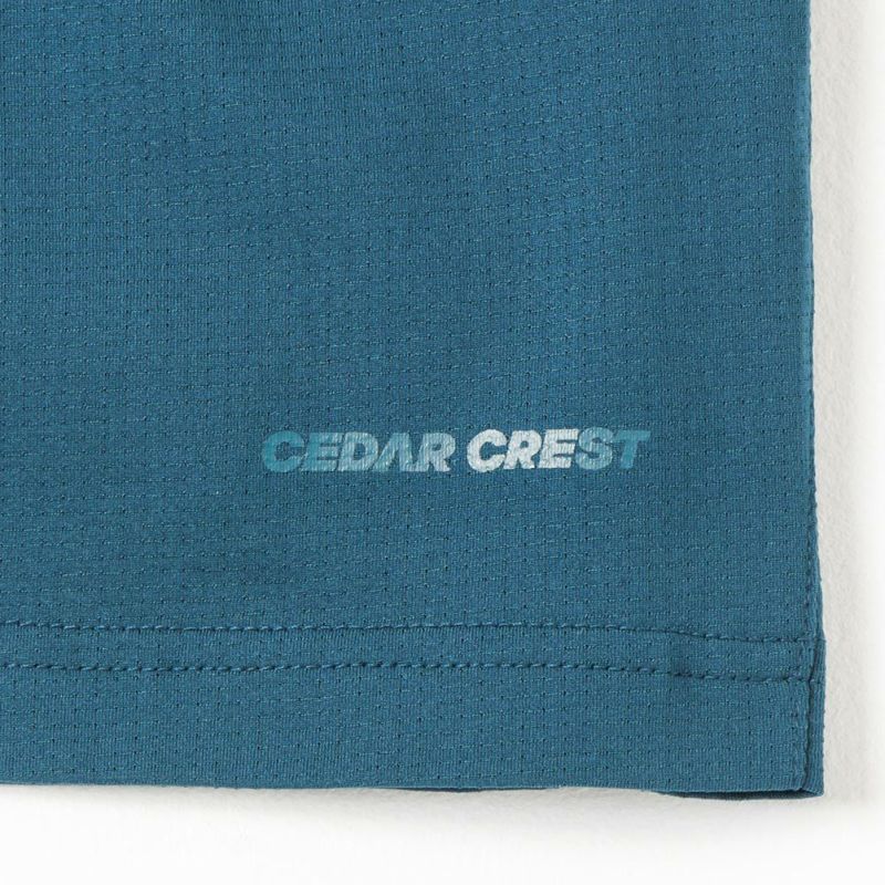 CEDAR CREST サーパスエアー 脇切替ランニングショートパンツ メンズ商品画像-14