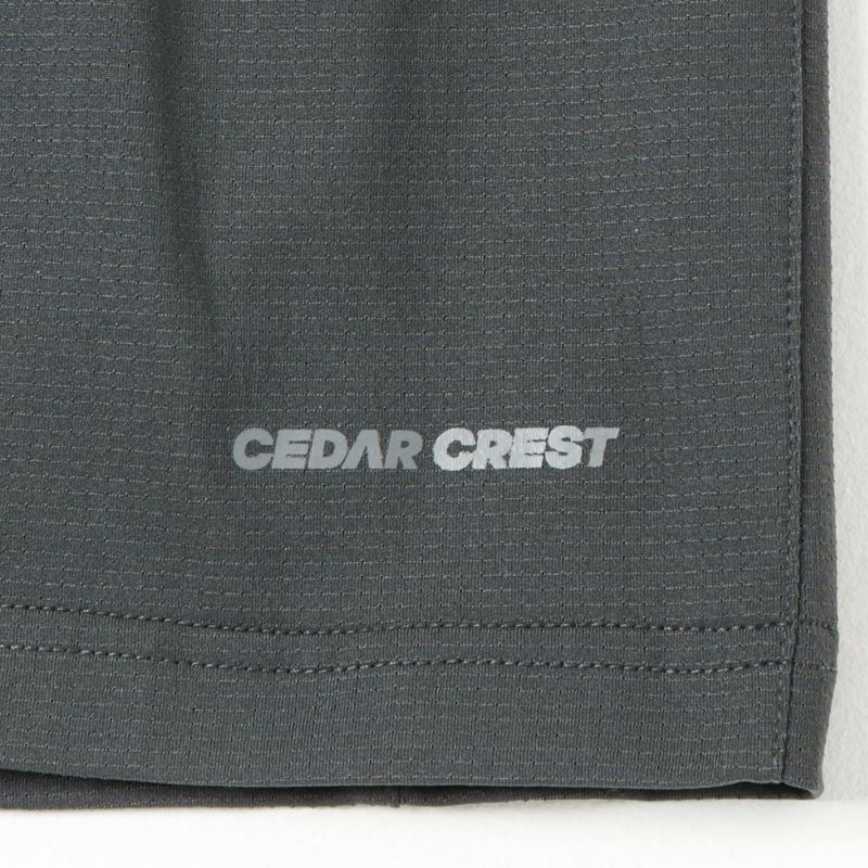CEDAR CREST サーパスエアー 脇切替ランニングショートパンツ メンズ商品画像-15