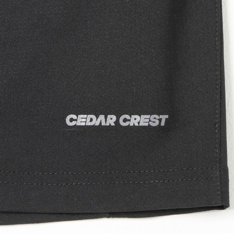CEDAR CREST サーパスエアー 脇切替ランニングショートパンツ メンズ商品画像-16