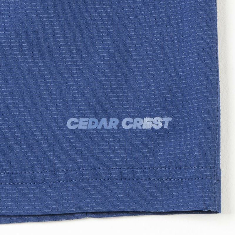 CEDAR CREST サーパスエアー 脇切替ランニングショートパンツ メンズ