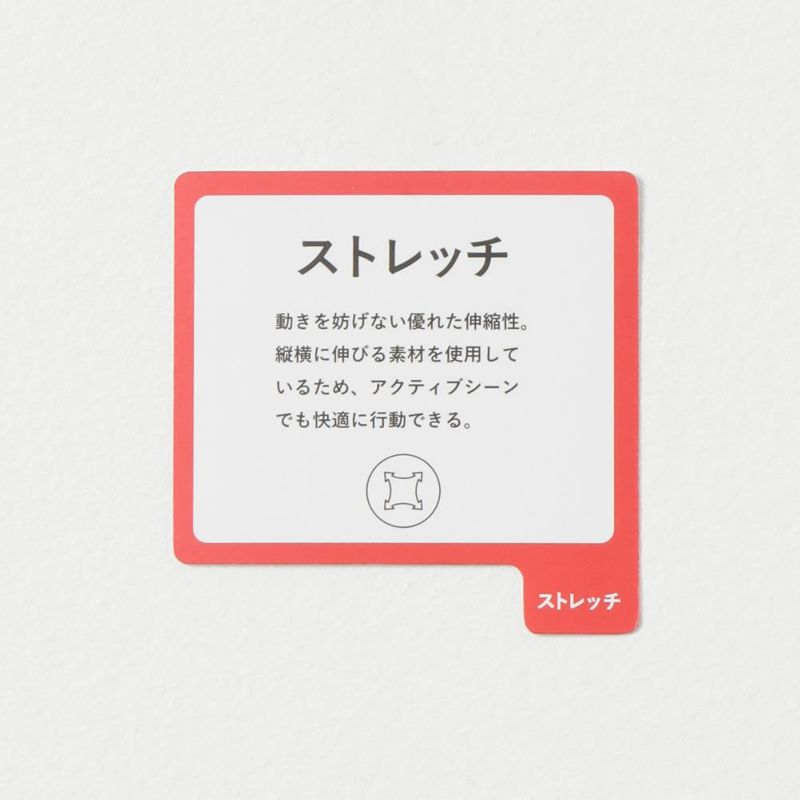 CEDAR CREST サーパスエアー 脇切替ランニングショートパンツ メンズ商品画像-22