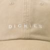 Dickies  ツイルキャップ メンズ商品サムネイル-15