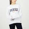 Dickies 長袖ロングTシャツ レディース ネコポス 対応商品