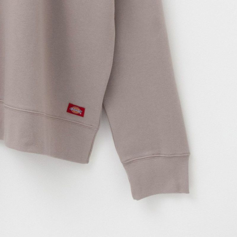 Dickies  裏毛グラフィックトレーナー メンズ商品画像-10