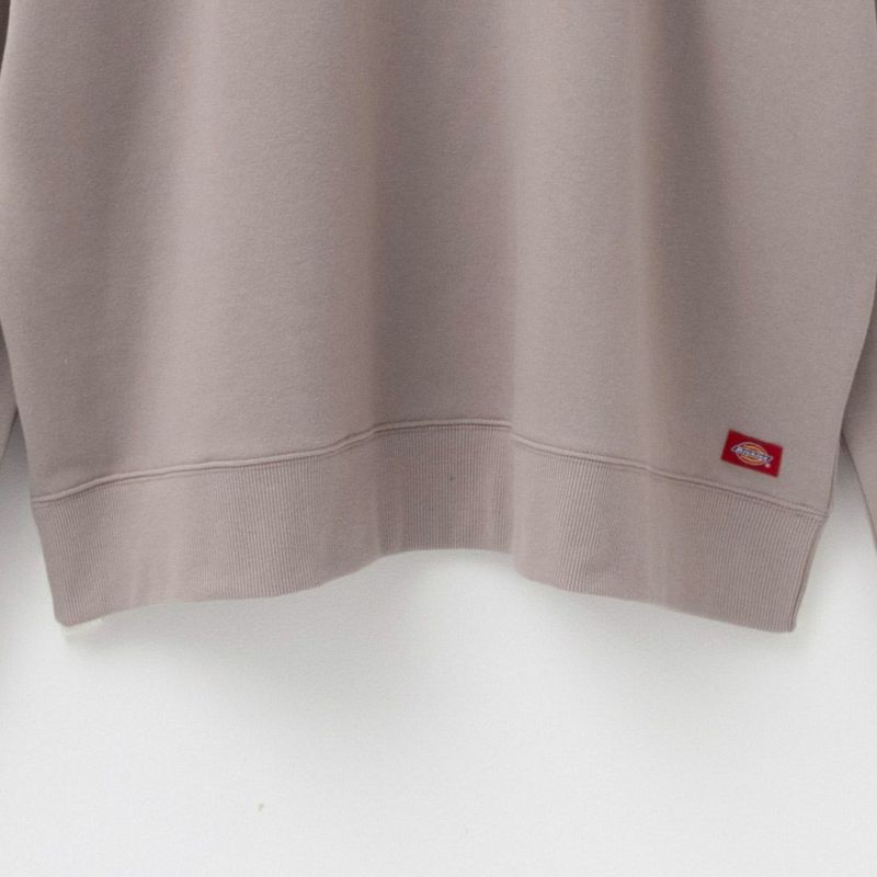 Dickies 裏毛グラフィックトレーナー メンズ商品画像-11