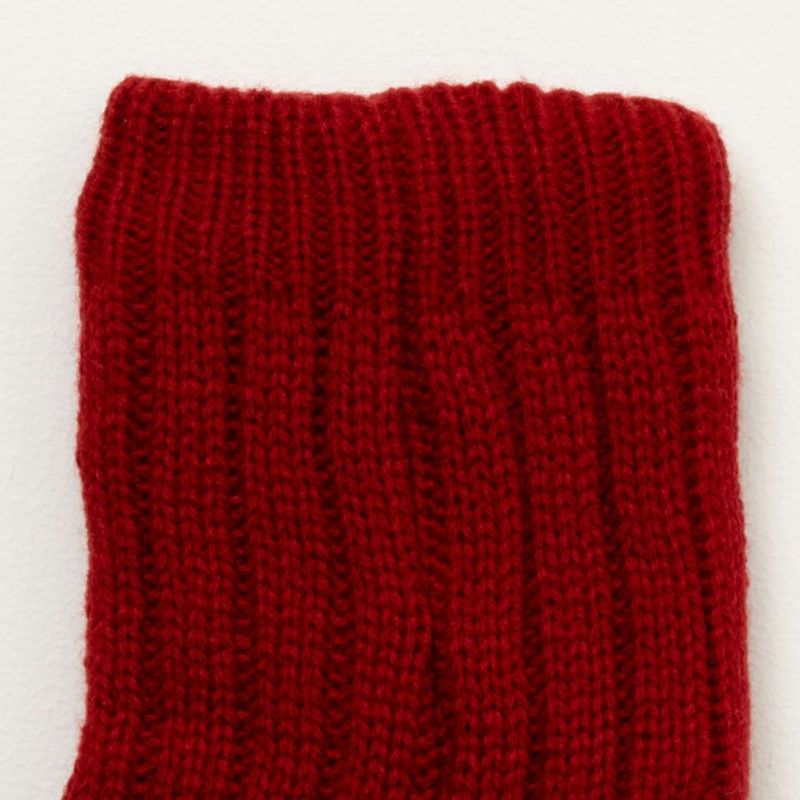 NAVY 温℃ ショートルームソックス レディース商品画像-6