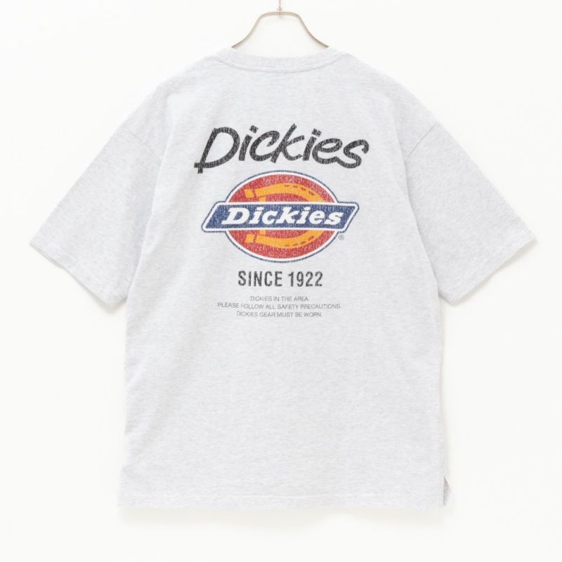 Dickies  グラフィックプリント半袖Tシャツ メンズ商品画像-11