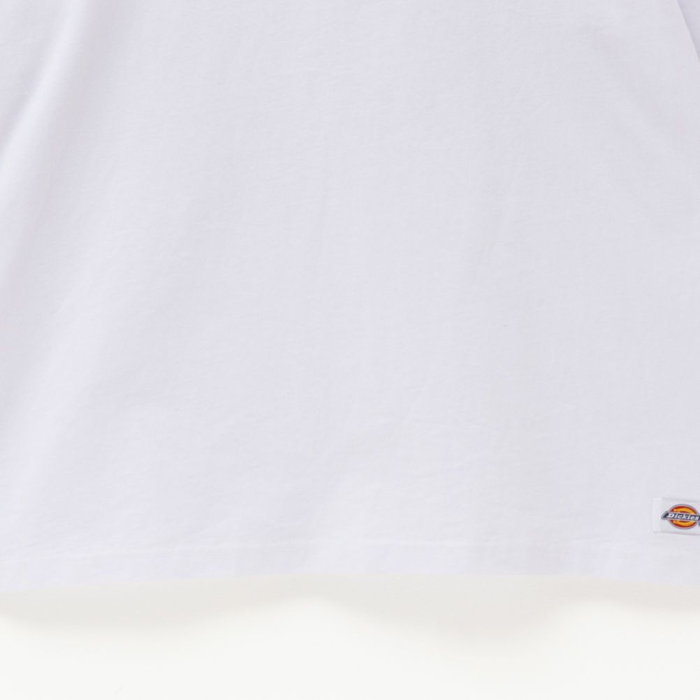 Dickies グラフィックプリント半袖Tシャツ メンズ