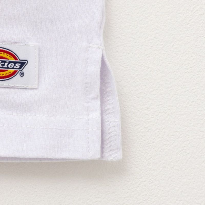 Dickies  グラフィックプリント半袖Tシャツ メンズ商品画像-21