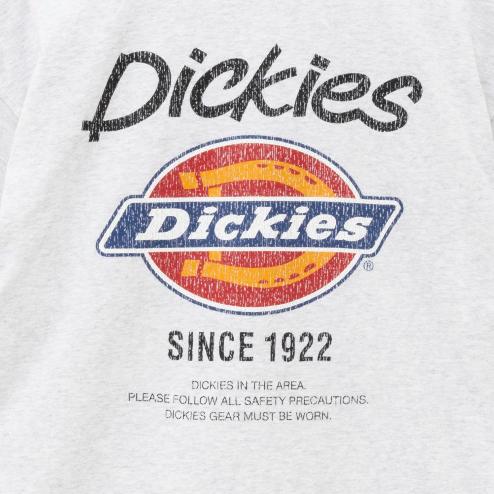 Dickies グラフィックプリント半袖Tシャツ メンズ