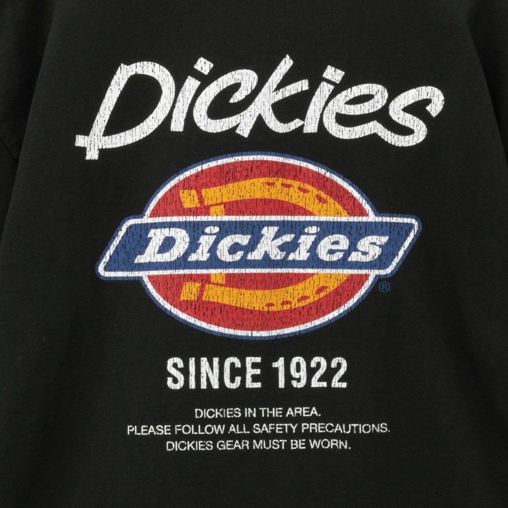Dickies グラフィックプリント半袖Tシャツ メンズ