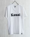 T&C Surf Designs ハワイVネックショートスリーブTシャツ メンズ ネコポス 対応商品