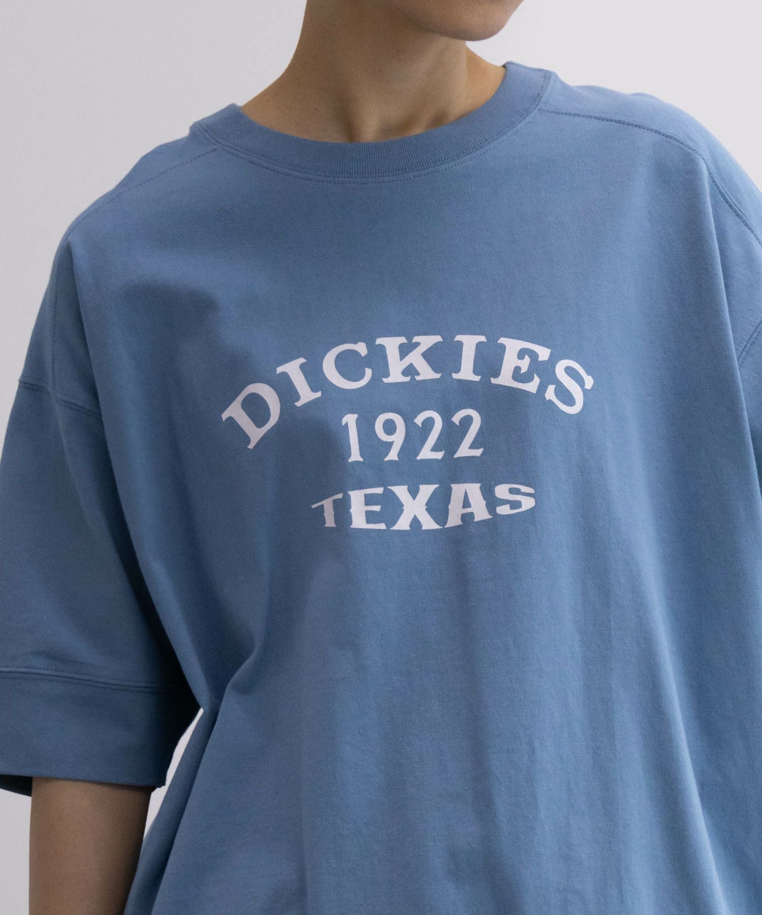 Dickies  切替えルーズシルエットTシャツ レディース メール便 対応商品商品サムネイル-12
