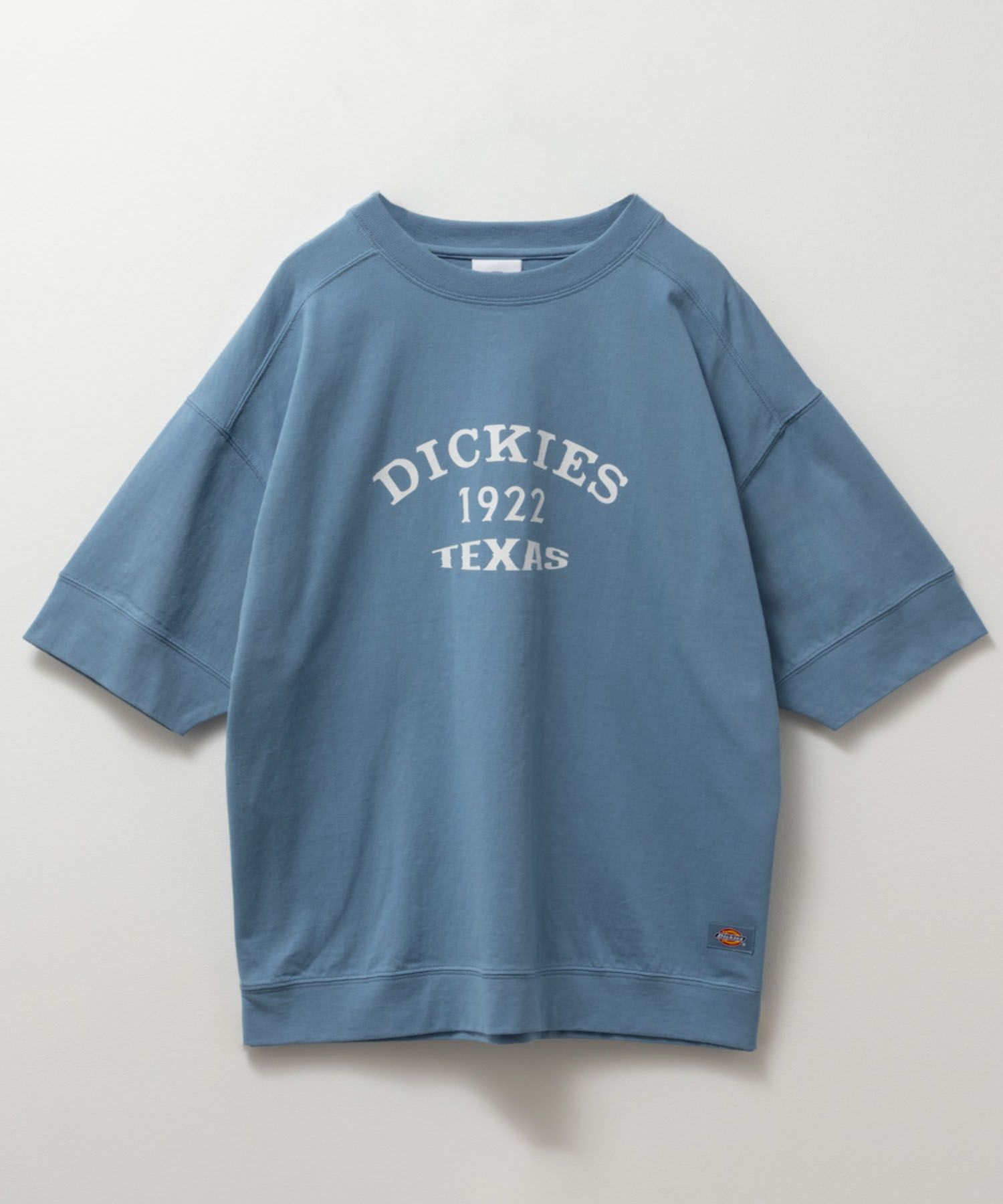 Dickies  切替えルーズシルエットTシャツ レディース メール便 対応商品商品画像-16