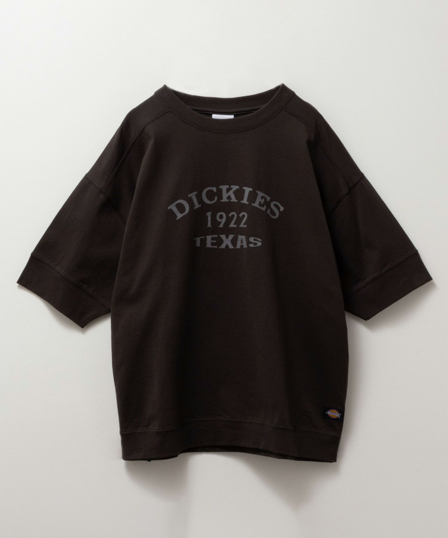 Dickies  切替えルーズシルエットTシャツ レディース メール便 対応商品商品サムネイル-19