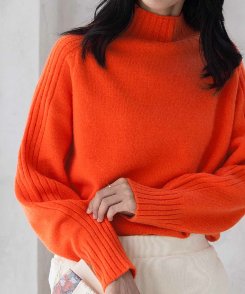 nAvy もちり もちもち 洗えるニット ハイネック レディース