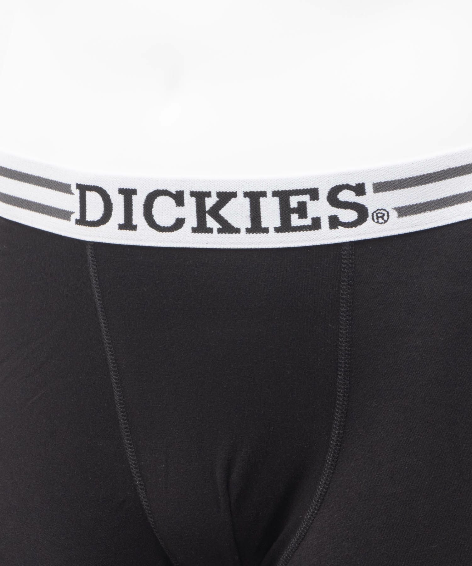Dickies  ボクサーパンツ NEW LOGO メンズ メール便 対応商品商品画像-7