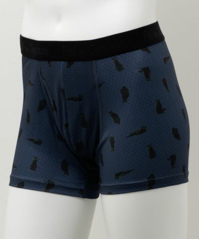 NAVY  メッシュボクサーパンツ ネコ柄 メンズ ネコポス 対応商品