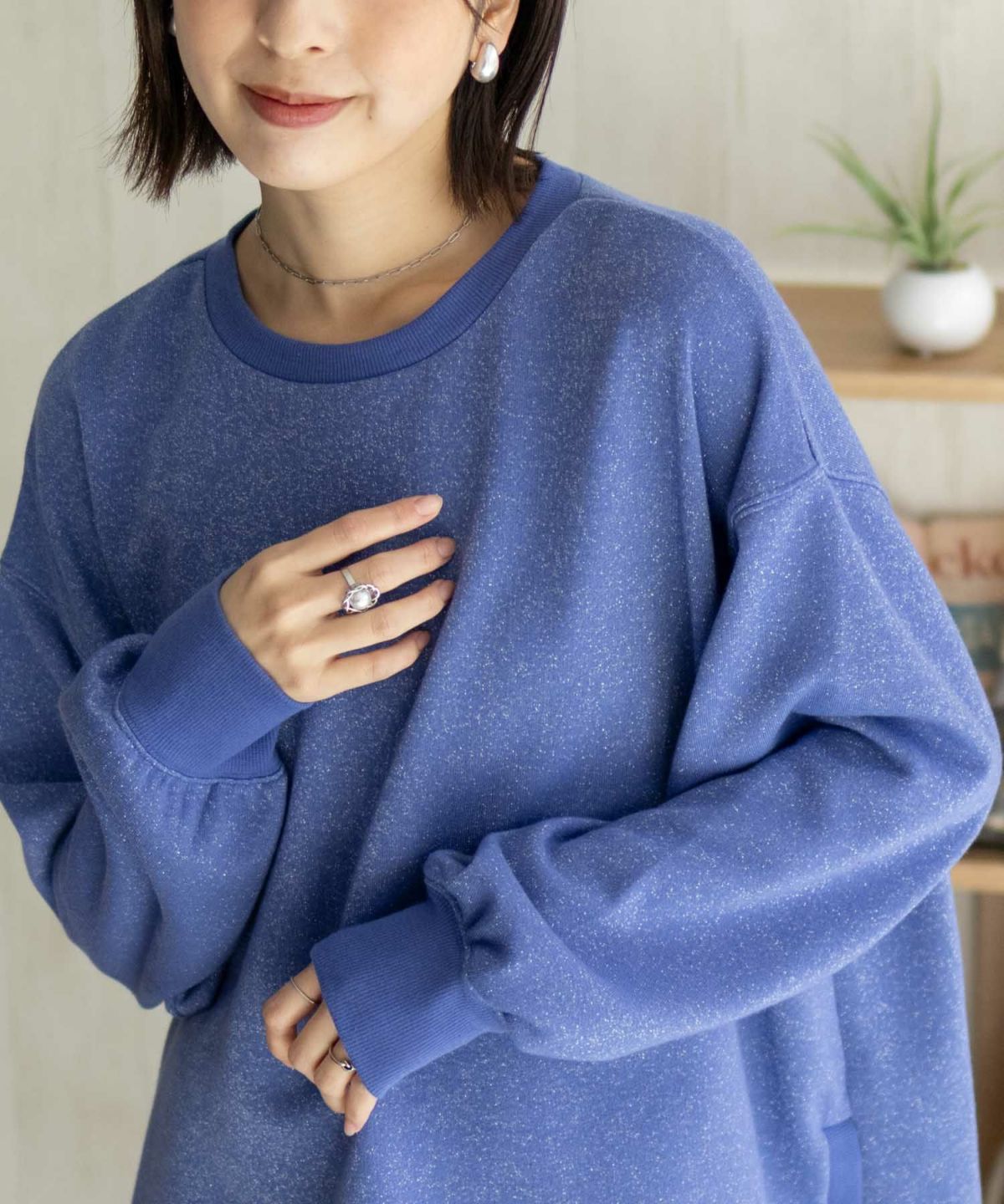 nAvy ラメ裏毛プルオーバー レディース