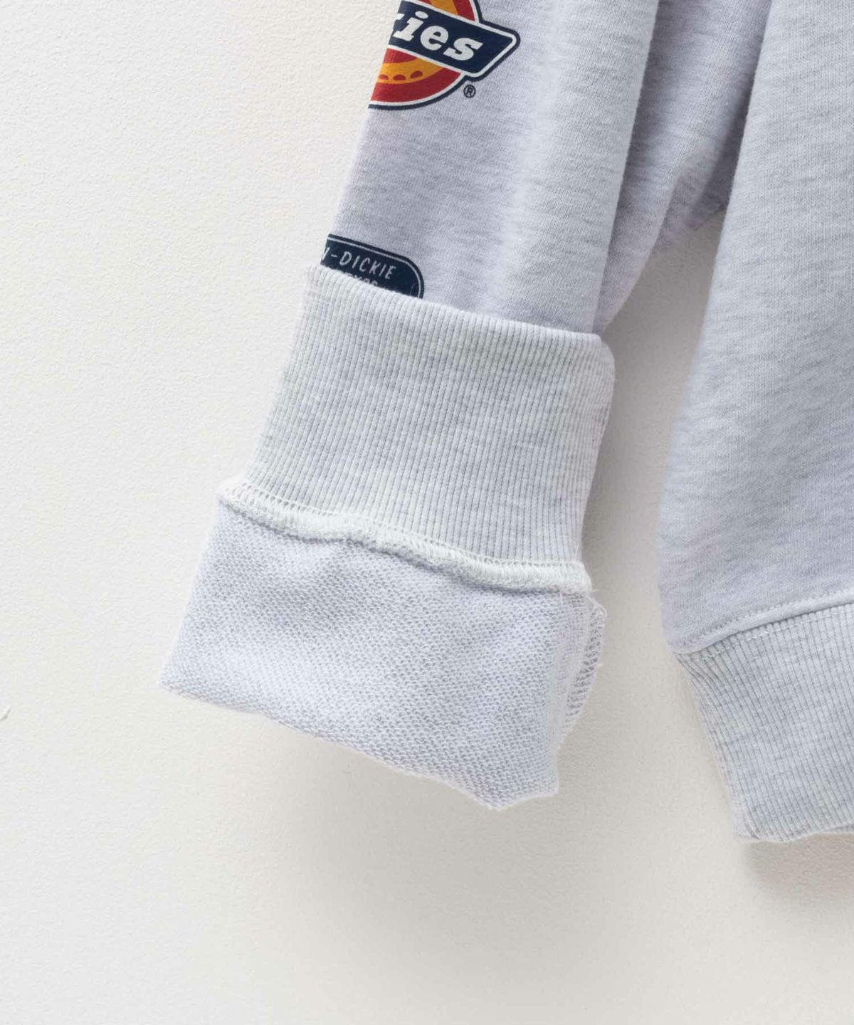 Dickies 裏毛袖ロゴパーカー メンズ